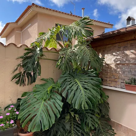 40° Parallelo-3